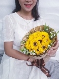 Bó hoa hướng dương cao cấp 0